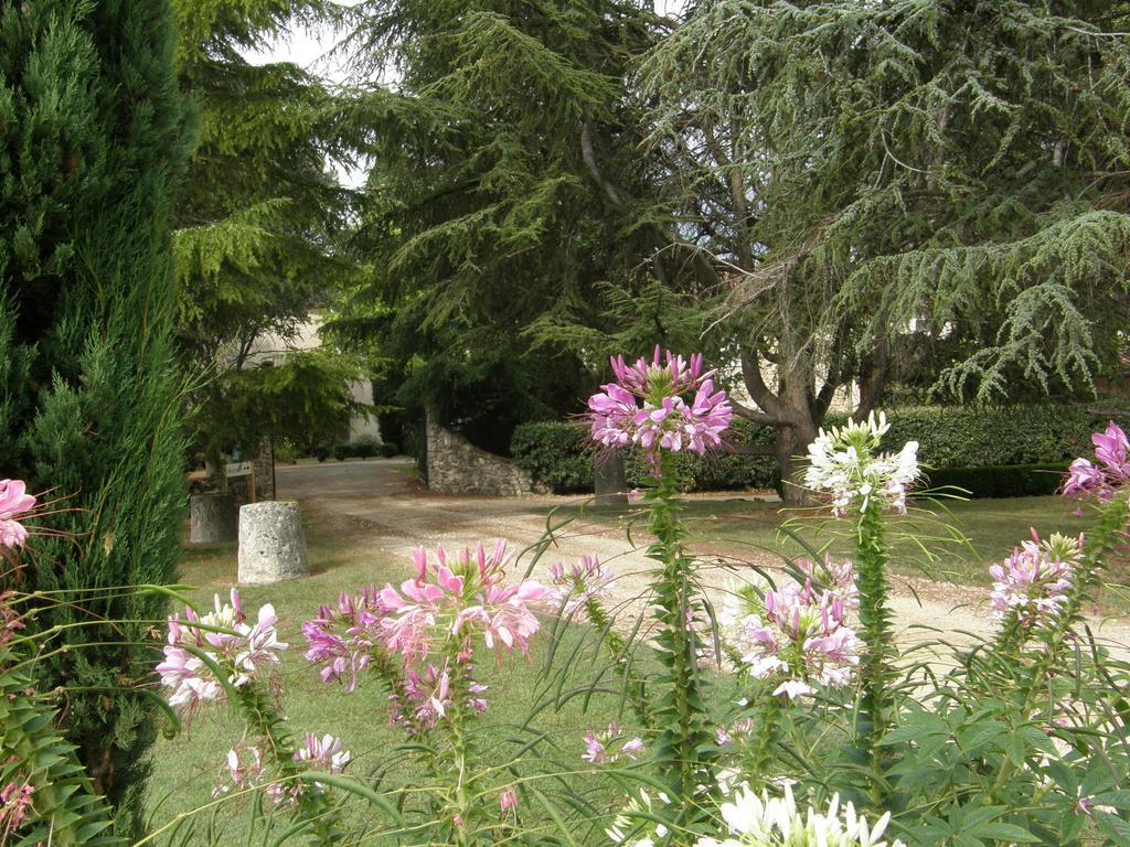 Chambres D'Hôtes Domaine De La Brette Moncrabeau Chambre photo